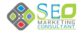 SEO Marketing Consultant